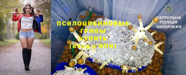 крисы Балахна