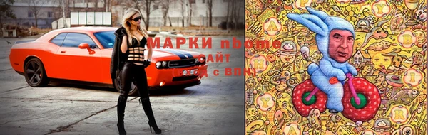 крисы Балахна