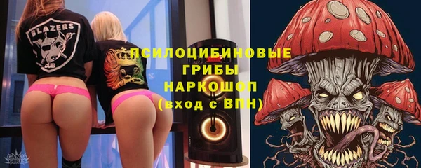 крисы Балахна