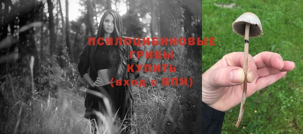 крисы Балахна
